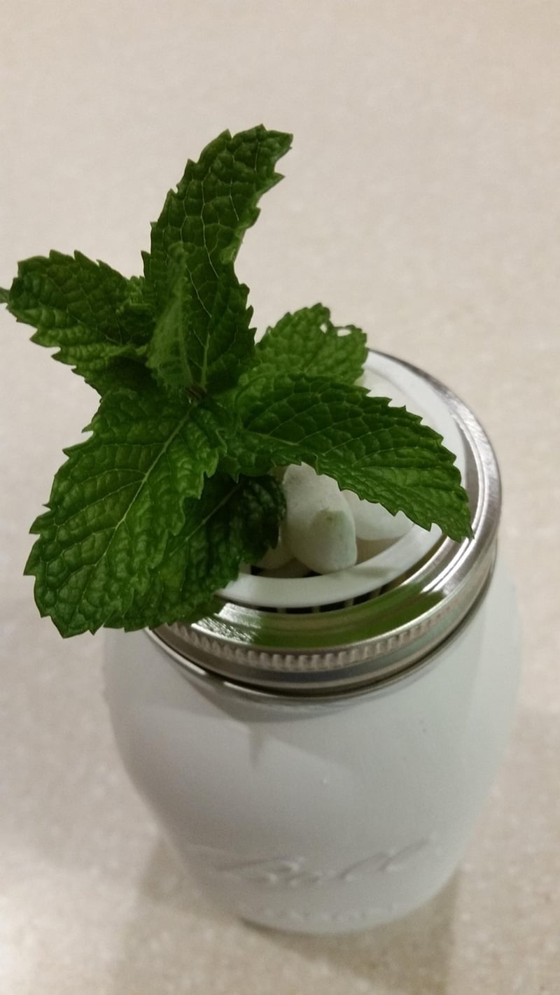 Mason Jar Terrariums
