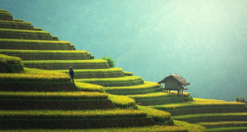 Rooftop Garden
